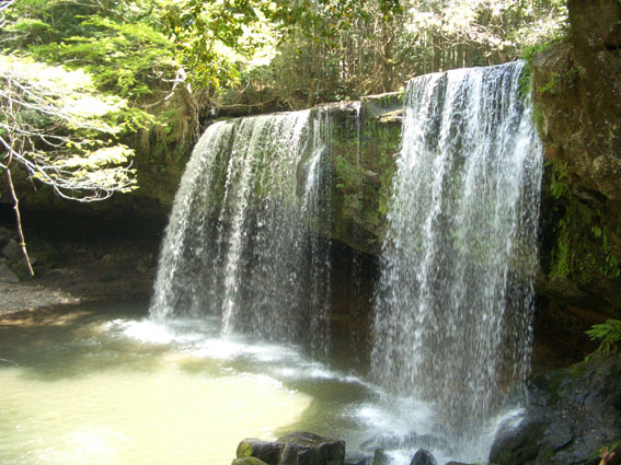 b0002156_1348034.jpg
