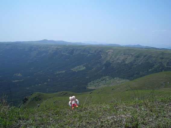 b0002156_1349872.jpg