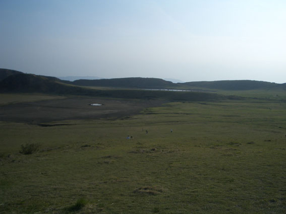 b0002156_13522473.jpg