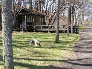 f0067361_858757.jpg