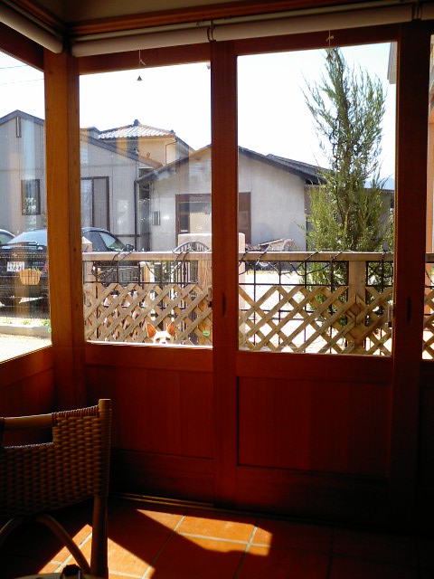 f0046262_2353188.jpg