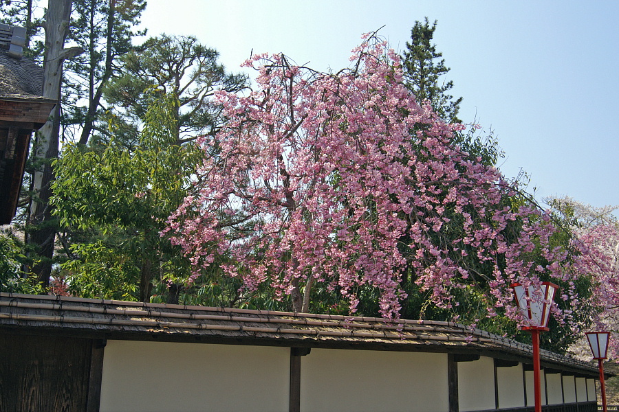 e0006964_1619635.jpg
