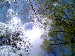 b0008465_21232288.jpg