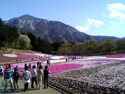 b0008465_21235045.jpg