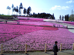 b0008465_21241035.jpg