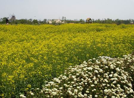 b0033169_191721.jpg