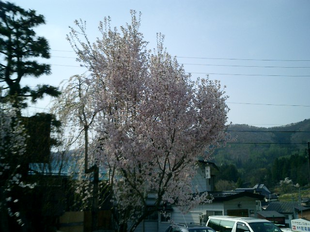 b0085469_22251735.jpg