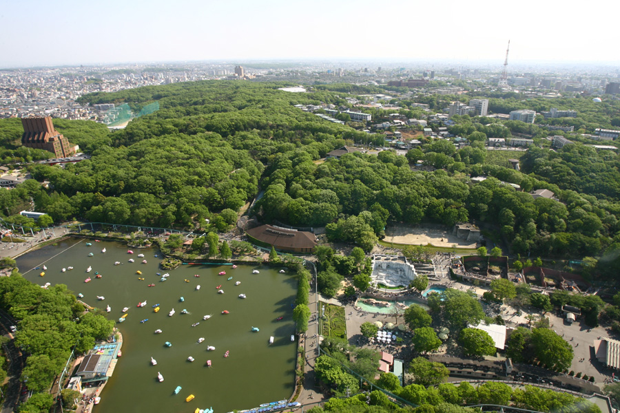 e0060169_17274545.jpg