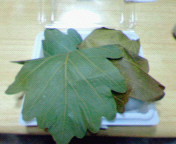 c0006671_19332418.jpg