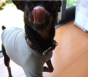 c0012571_21542973.gif