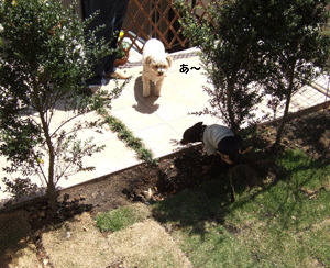 c0012571_2211218.gif