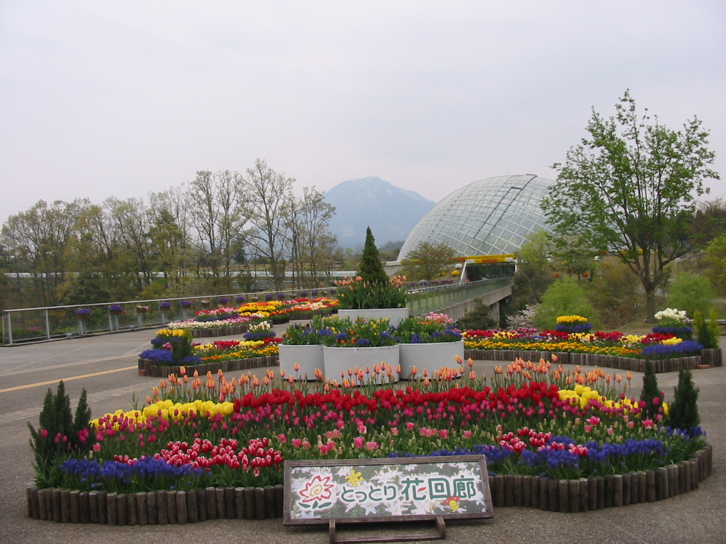 b0039373_9133957.jpg