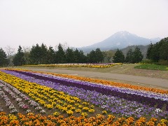b0039373_9192967.jpg