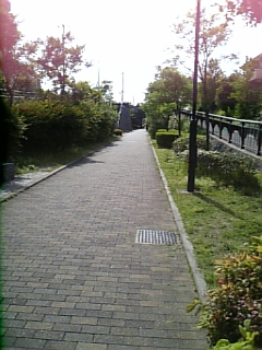 c0061774_17253744.jpg