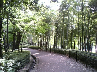 c0061774_17301723.jpg