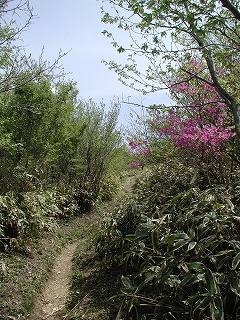 e0002676_19574358.jpg