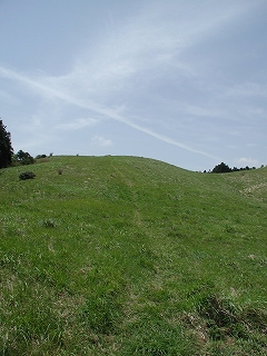 e0002676_2024170.jpg