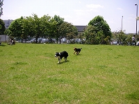a0035678_1213097.jpg