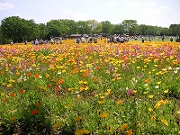 a0035678_1255117.jpg