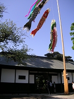 a0035678_12669.jpg