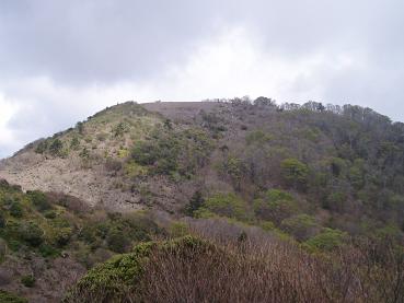 a0058478_9595766.jpg