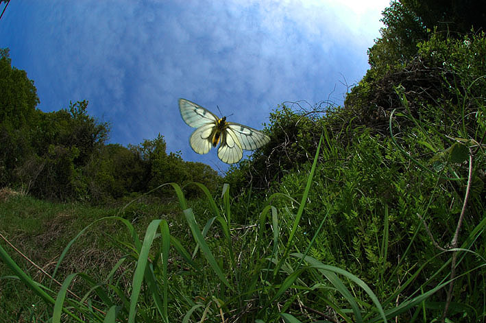 f0090680_2145433.jpg