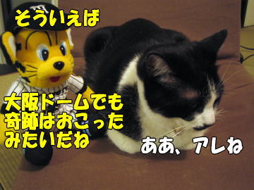 b0041182_1102822.jpg