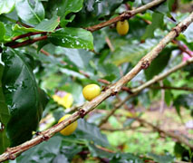 f0077789_9583698.jpg