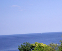 f0106089_135783.jpg