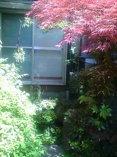 c0072698_06129.jpg