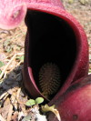 e0049598_14135527.jpg