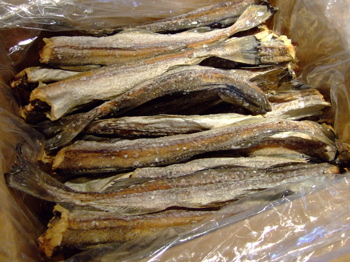 f0001698_0141215.jpg