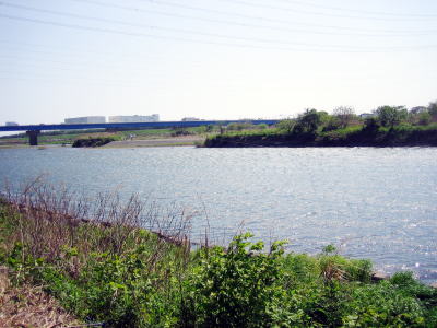 d0026200_1134931.jpg