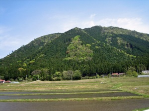 f0036700_155314100.jpg