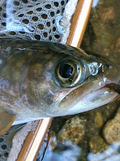 a0028803_20503870.jpg
