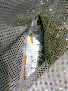 a0028803_20512283.jpg