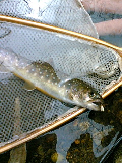 a0028803_2051293.jpg