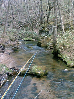 a0028803_20541640.jpg