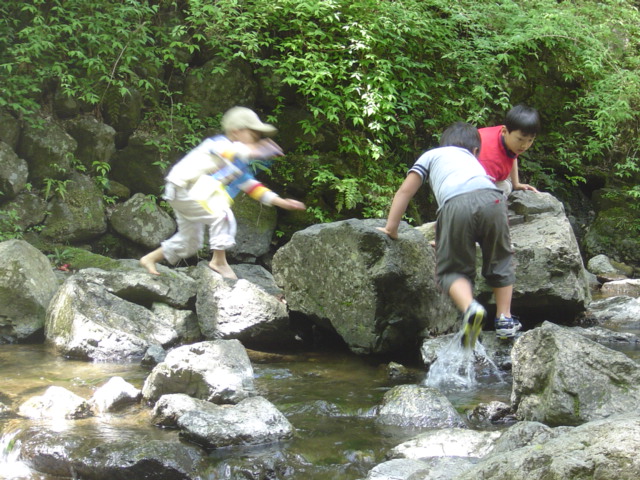 c0006904_20171894.jpg