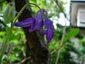 a0030205_13281.jpg