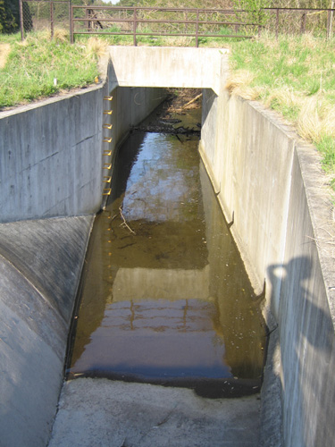 e0041606_20574313.jpg