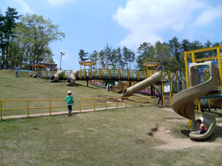 b0031009_051536.jpg