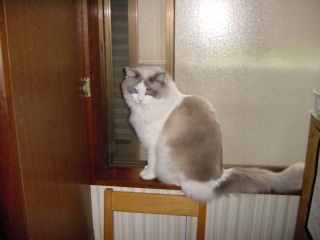 c0024410_18405386.jpg