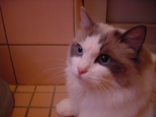 c0024410_18415246.jpg