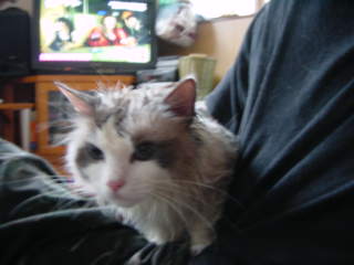 c0024410_18445169.jpg