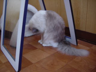 c0024410_18481771.jpg