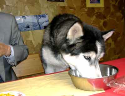 e0001110_5461321.jpg