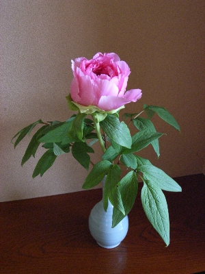 f0040711_1427239.jpg