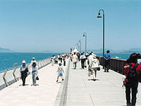 a0020212_1333744.jpg