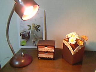 b0038412_2145632.jpg
